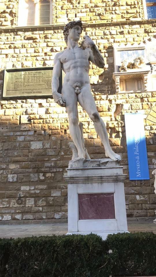 Patung David di Florence, Italia
